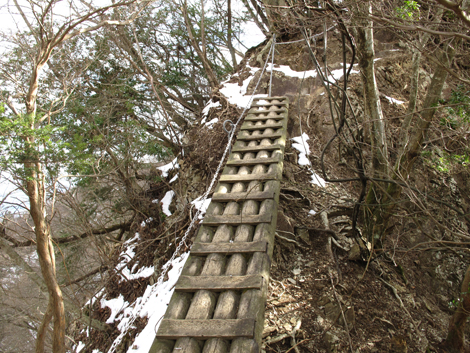 20170113hike (247)